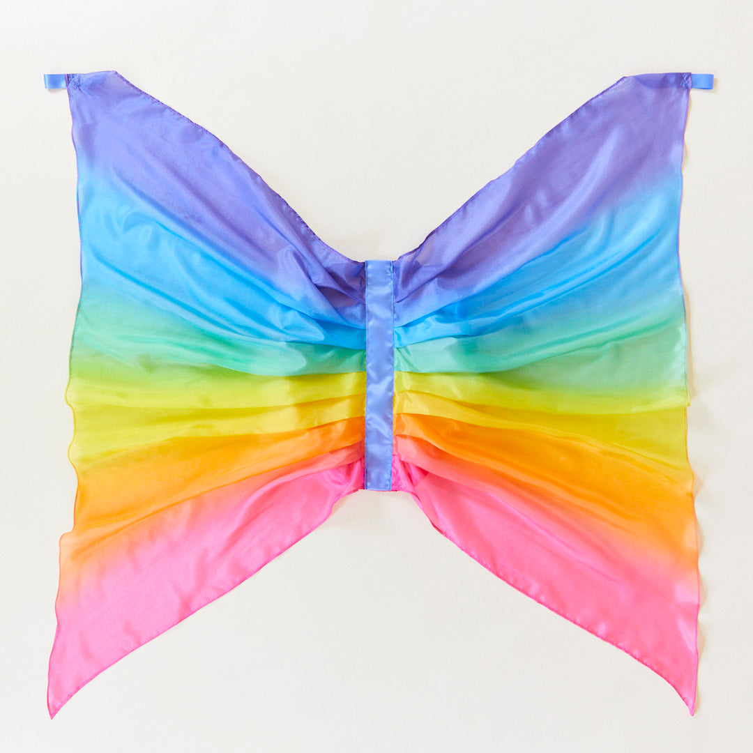 Rainbow Wings